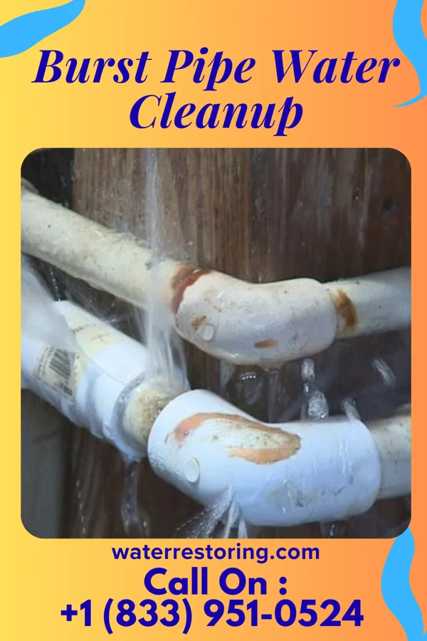 Burst Pipe Water Cleanup in Kevil, KY