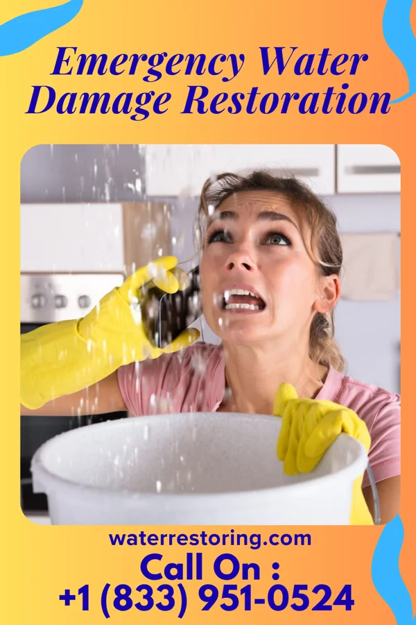 Emergency Water Damage Restoration in Kevil, KY