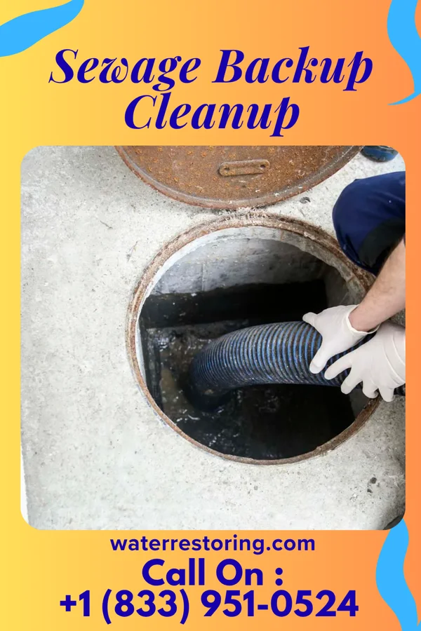 Sewage Backup Cleanup in Kevil, KY