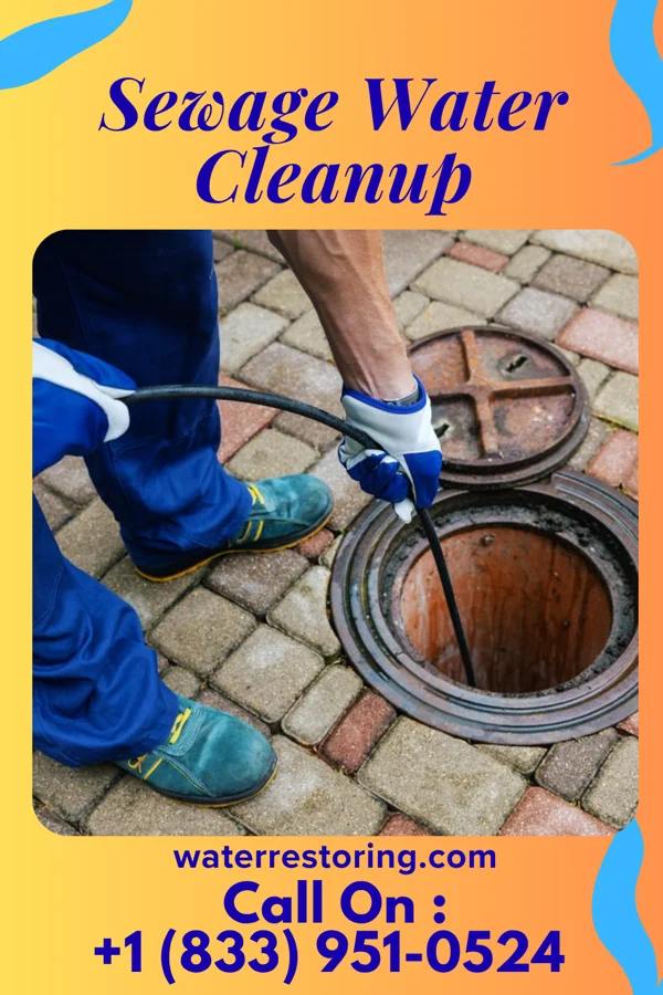 Sewage Water Cleanup in Kevil, KY