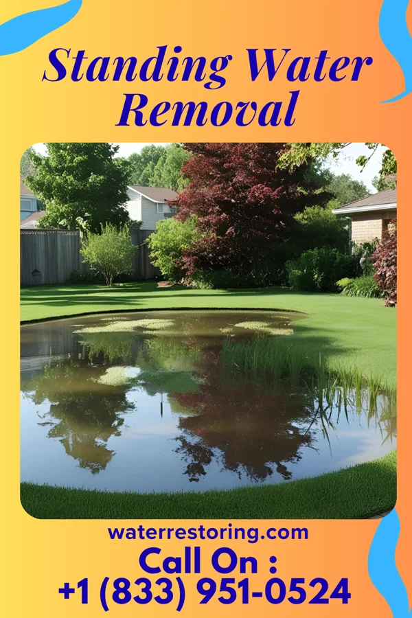 Standing Water Removal in Kevil, KY